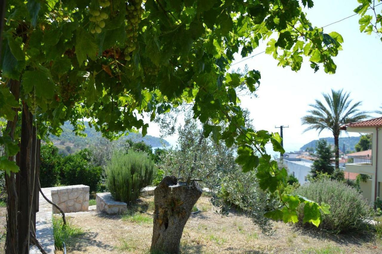 شقة Spiti Portokali Epidaurus المظهر الخارجي الصورة